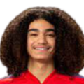 https://img.wandeilvjian.com/img/football/player/87359ed9061cfd73513d827263deebcd.png